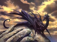 /album/photo-gallery/dragon-10-jpg2/